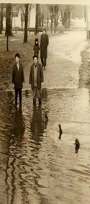 Парк Мершавцева. 1978 рік