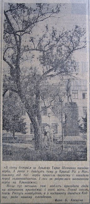 Верба Тараса Шевченка