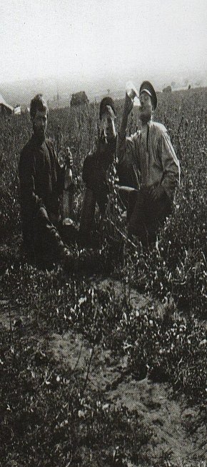Криворіжці на дозвіллі
