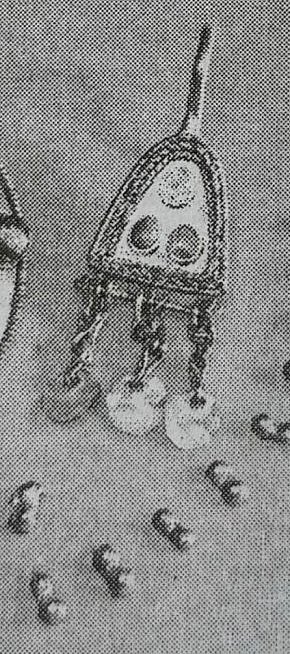 Прикраси знатної сарматки