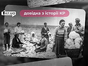 Веселі Терни, житломасив: довідка з історії Криворіжжя