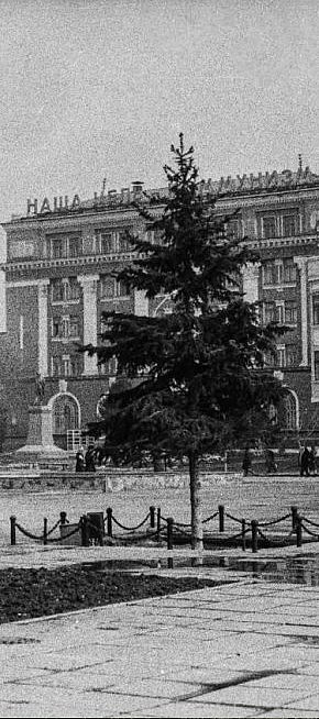 Дієтична столова у Кривому Розі