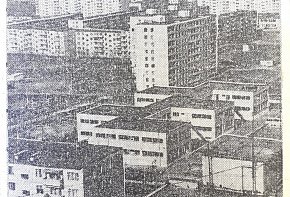 Селище ім. Артема(сучасний Володимира Великого), 1977-й рік