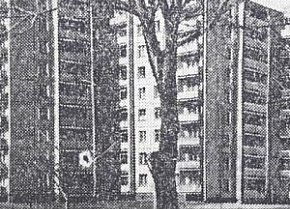 Вулиця Дніпропетровська(сучасний Проспект Миру), 1975 рік.