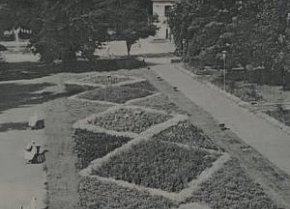 Центральна алея парку культури рудоуправління ім. Дзержинського, 1981 рік.