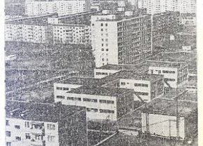 Селище ім. Артема(сучасний Володимира Великого), 1977-й рік