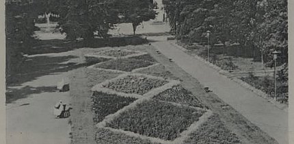 Центральна алея парку культури рудоуправління ім. Дзержинського, 1981 рік.