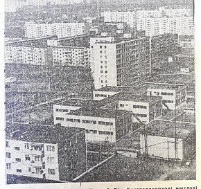Селище ім. Артема(сучасний Володимира Великого), 1977-й рік