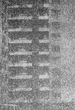 Вулиця Дніпропетровська(Проспект Миру), 1972  рік.