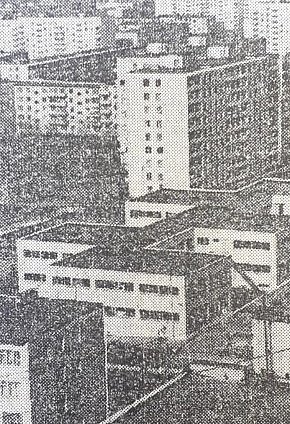 Селище ім. Артема(сучасний Володимира Великого), 1977-й рік