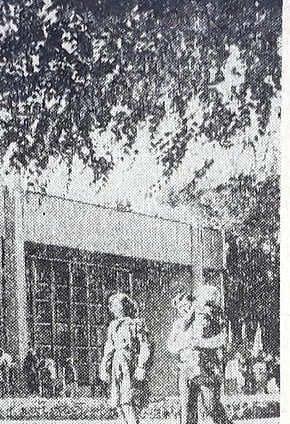 Дім Природи (проспект Поштовий), 1978-й рік