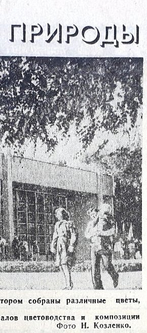 Дім Природи (проспект Поштовий), 1978-й рік