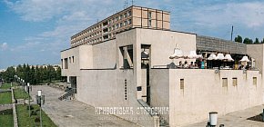 Вулиця Мелешкіна (Володимира Великого), Фото 1990-х років