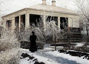 Дім польської родини Войневичів на Шмаківській копальні, 1890-ті роки