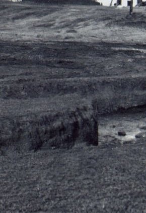 Розбудова Первомайки, 1954 рік