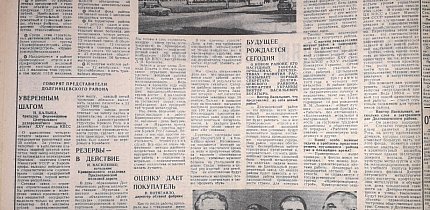 Довгинцівський район, 1980-й рік