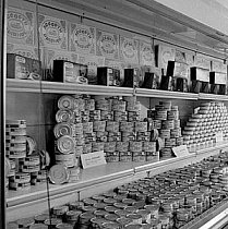 Терни, магазин 