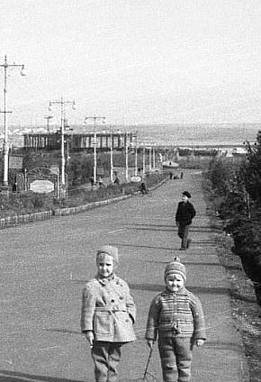 Центральна алея парку імені 50-річчя Радянської України (Шахтарський)