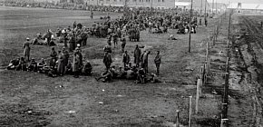 Шталаг 338, Гданцівка, 1942 рік