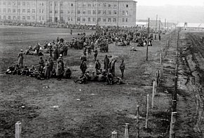 Шталаг 338, Гданцівка, 1942 рік