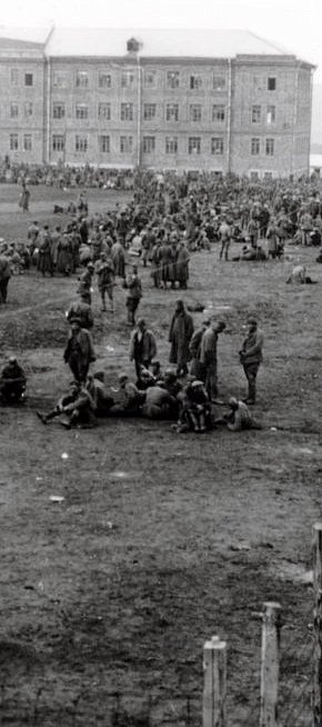 Шталаг 338, Гданцівка, 1942 рік