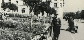 Вулиця Шкірятова (проспект Південний)