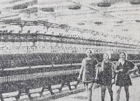 Криворізька вовнопрядильна фабрика, 1977 рік