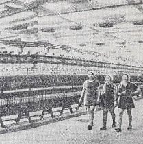Криворізька вовнопрядильна фабрика, 1977 рік