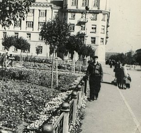 Вулиця Шкірятова (проспект Південний)