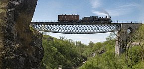 Нижня течія знаменитої балки Дубової на початку ХХ століття