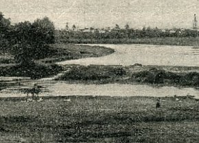 Містечко Широке, 1903 рік