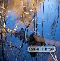 Саксагань. Колишня садиба Харіна