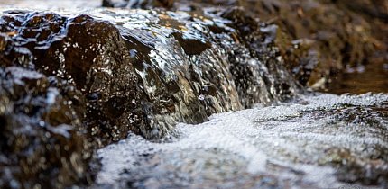 Ріка під мостом. Колишня садиба Харіна