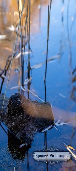 Саксагань. Колишня садиба Харіна