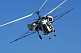 Склеивание стручков рапса - услуги вертолета