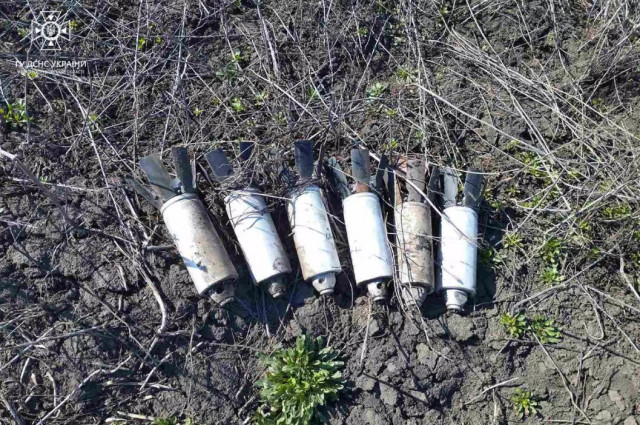 Пиротехники уничтожили вражеские боеприпасы в Криворожском районе