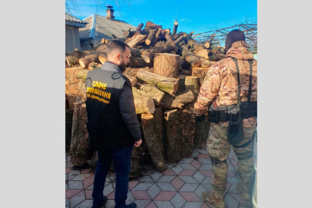 На Днепропетровщине задержали преступную группу, вырубившую леса на 2 миллиона гривен