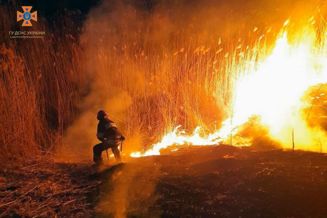Спасатели Днепропетровщины за сутки потушили семь масштабных пожаров, – горела сухая трава