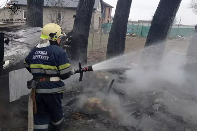 В пожаре на Днепропетровщине сгорели козы