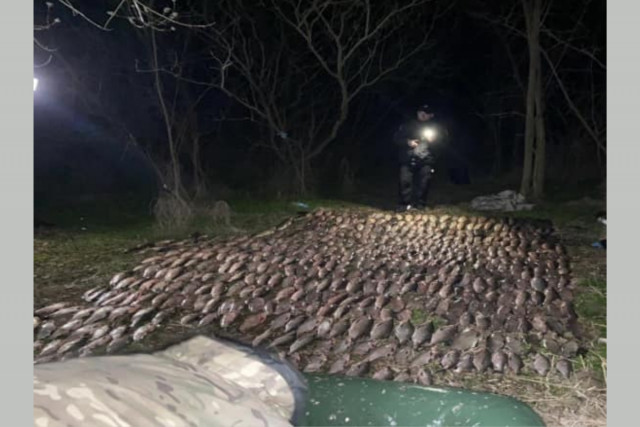 На Карачуновском водохранилище мужчина незаконно наловил рыбы на 1 миллион гривен