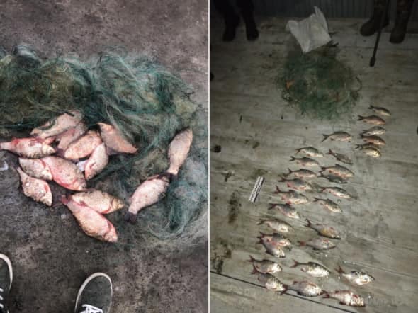 В Днепропетровской области незаконно выловили 274 килограмма рыбы