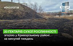 За минулий тиждень у Криворізькому районі згоріло 20 гектарів сухої рослинності
