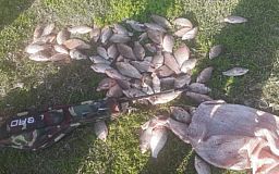 В Криворожском районе мужчина незаконно выловил карасей более чем на 130 тысяч гривен