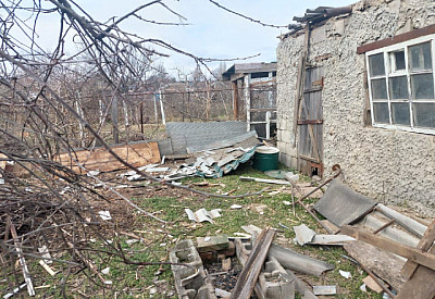 Фото к новости Главное фото новости