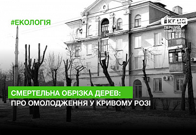 Головне фото новини