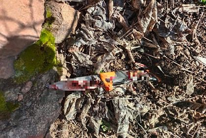 Поліцейські Кривого Рогу затримали підозрюваного у вбивстві чоловіка