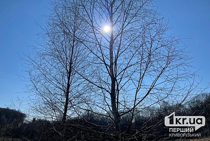 Погода в Кривом Роге 10 марта