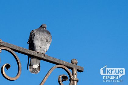 Ночь на Днепропетровщине прошла без обстрелов