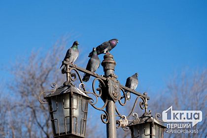 Ночь в Днепропетровской области прошла без обстрелов