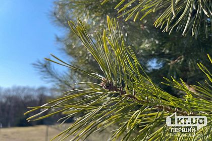Погода в Кривом Роге 16 марта